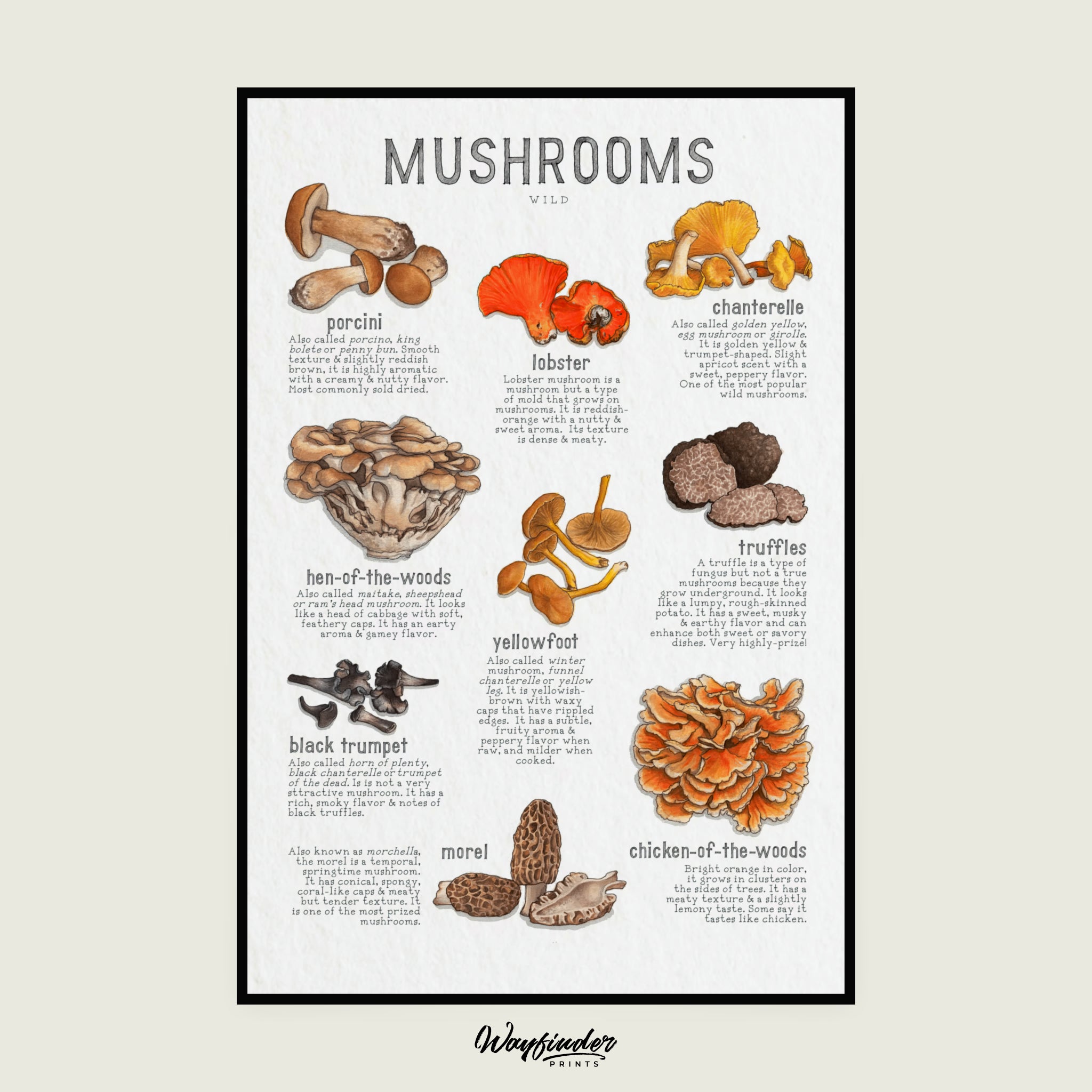 Wild Mushrooms