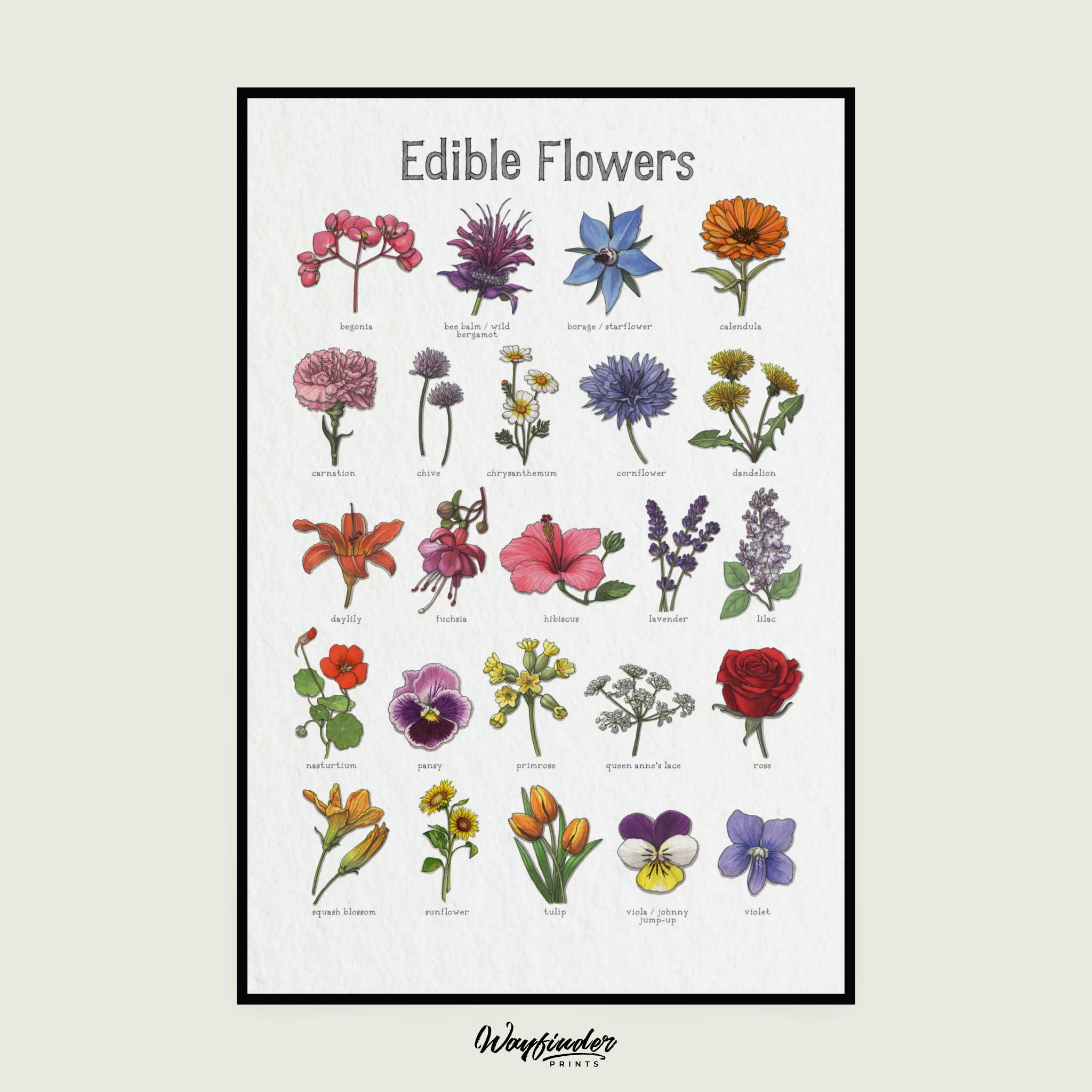 Edible Flowers: Chart