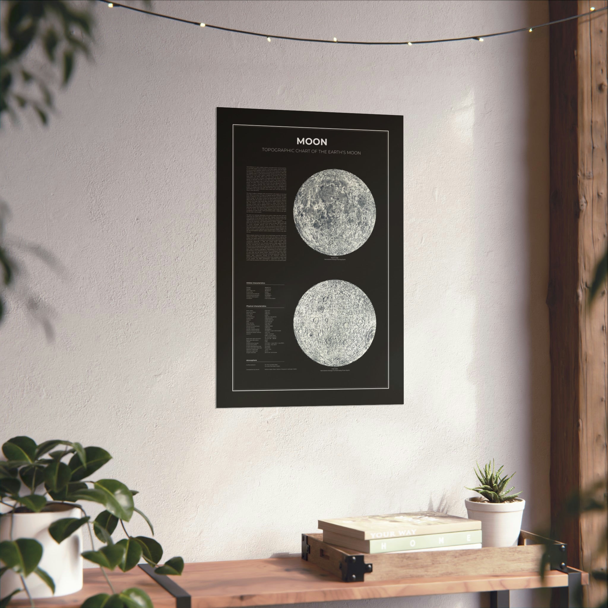 Topographic Chart Of The Earth’s Moon