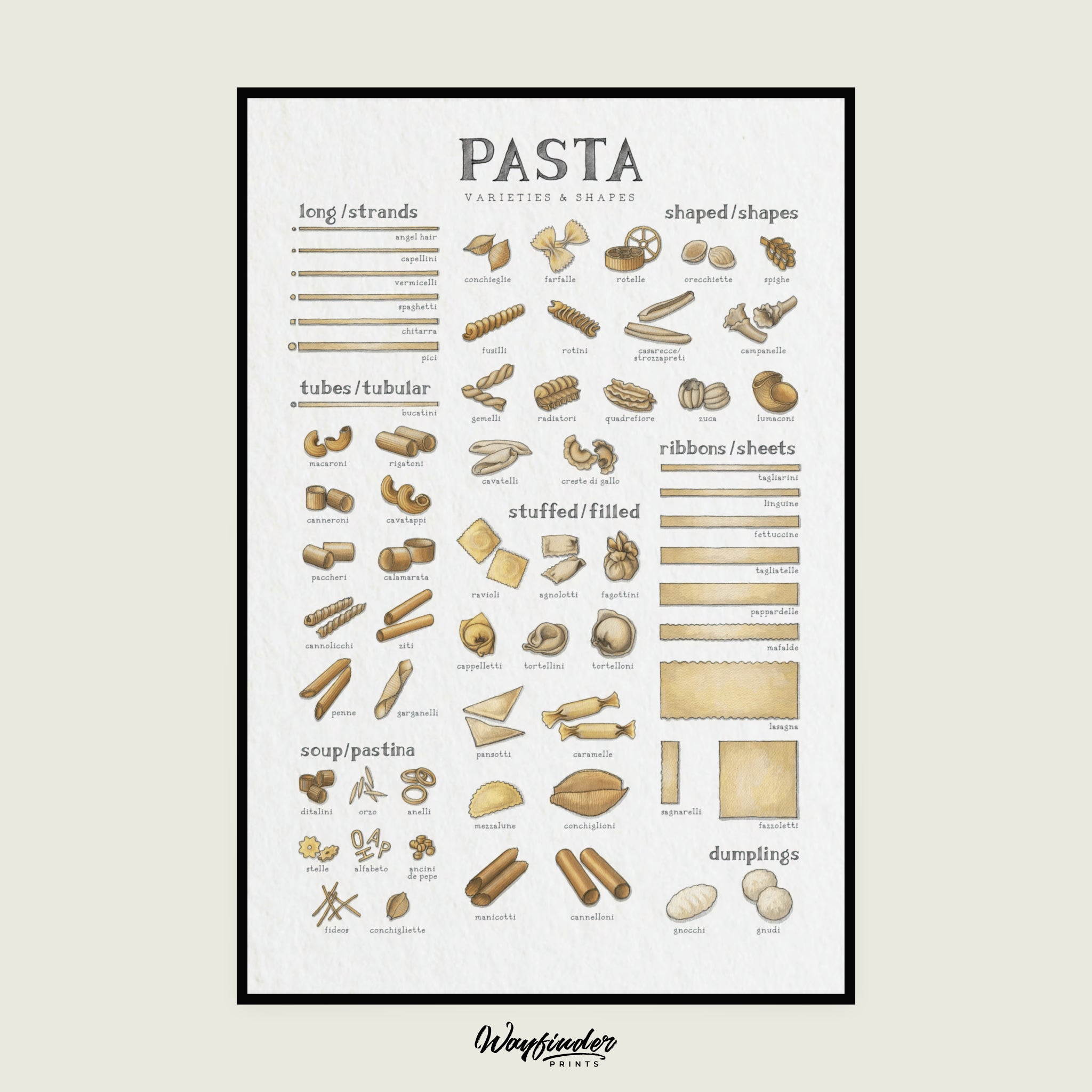 Pasta Shapes