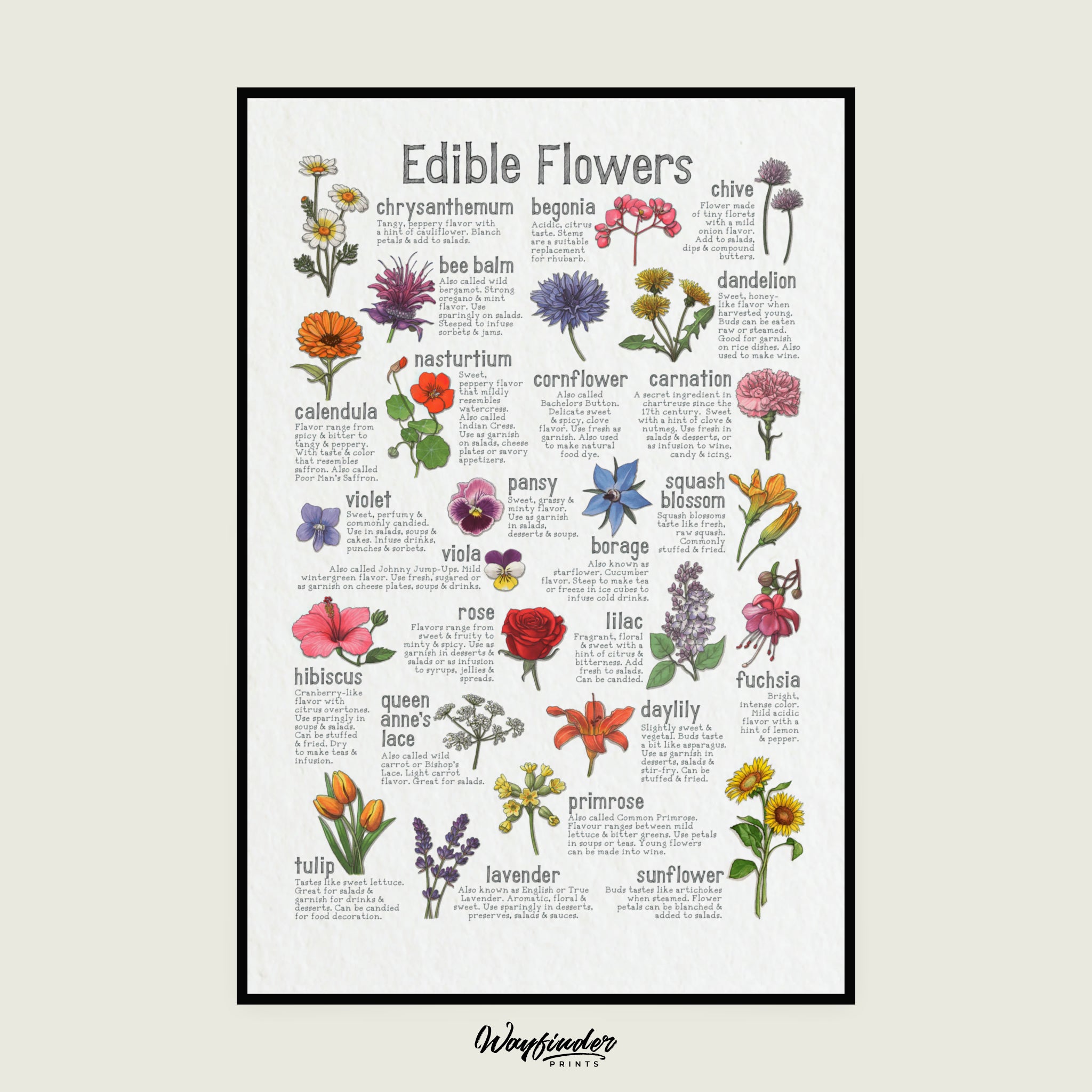 Edible Flowers