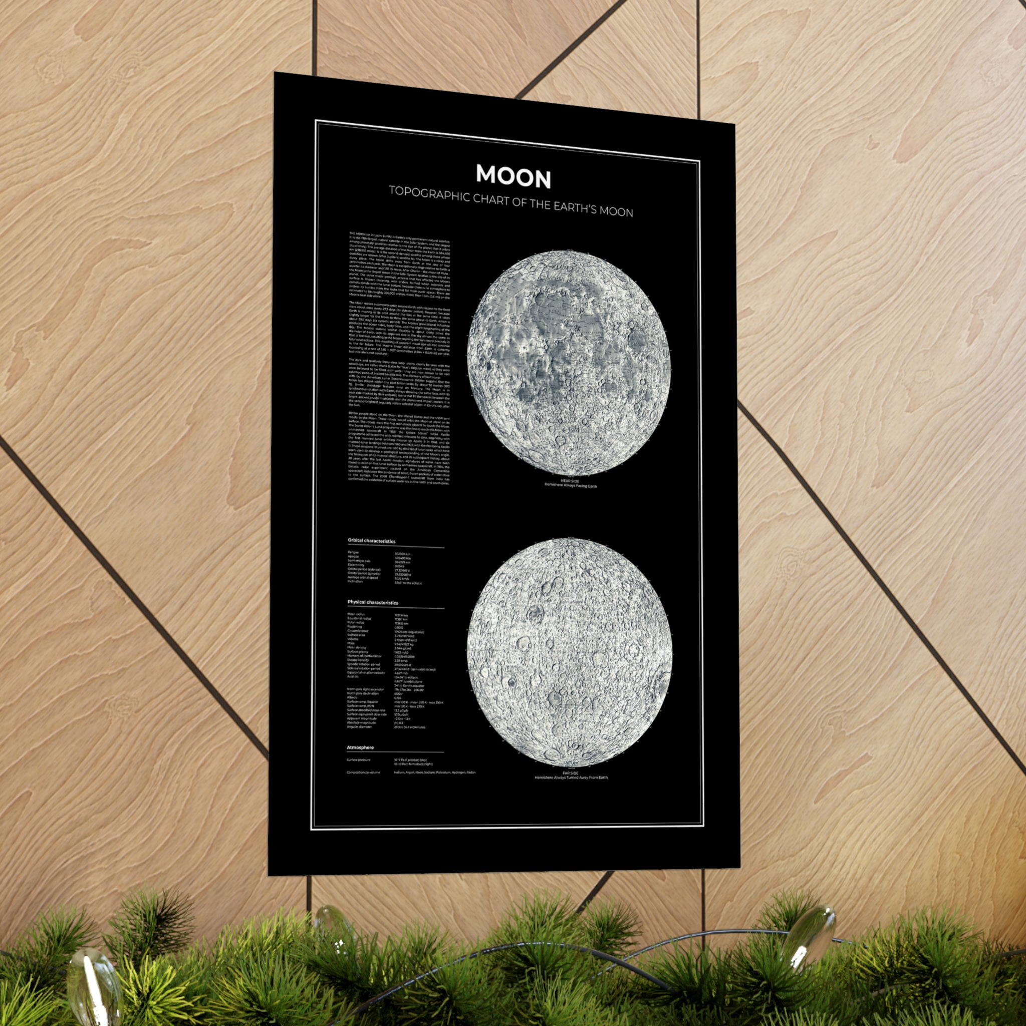 Topographic Chart Of The Earth’s Moon