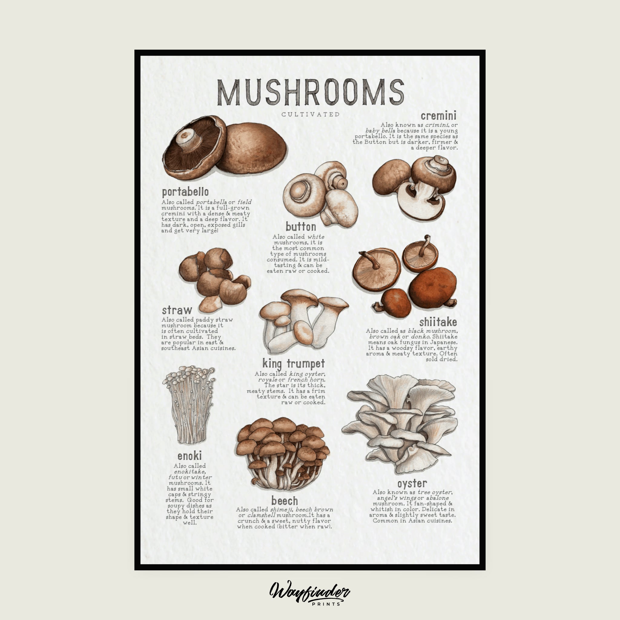 Cultivated Mushrooms